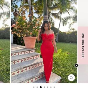 Elegant Red Feathered Gown